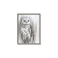 Picture of Living Owl _GroupedProduct_Rectangle_Portrait_Canvas_Framed_
