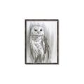 Picture of Living Owl _GroupedProduct_Rectangle_Portrait_Canvas_Framed_