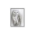 Picture of Living Owl _GroupedProduct_Rectangle_Portrait_Canvas_Framed_