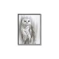 Picture of Living Owl _GroupedProduct_Rectangle_Portrait_Canvas_Framed_