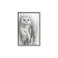 Picture of Living Owl _GroupedProduct_Rectangle_Portrait_Canvas_Framed_