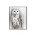 Picture of Living Owl _GroupedProduct_Rectangle_Portrait_Canvas_Framed_