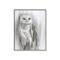 Picture of Living Owl _GroupedProduct_Rectangle_Portrait_Canvas_Framed_