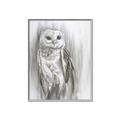 Picture of Living Owl _GroupedProduct_Rectangle_Portrait_Canvas_Framed_