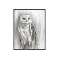 Picture of Living Owl _GroupedProduct_Rectangle_Portrait_Canvas_Framed_