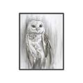 Picture of Living Owl _GroupedProduct_Rectangle_Portrait_Canvas_Framed_