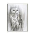 Picture of Living Owl _GroupedProduct_Rectangle_Portrait_Canvas_Framed_