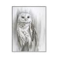 Picture of Living Owl _GroupedProduct_Rectangle_Portrait_Canvas_Framed_