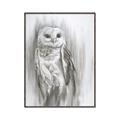 Picture of Living Owl _GroupedProduct_Rectangle_Portrait_Canvas_Framed_