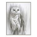 Picture of Living Owl _GroupedProduct_Rectangle_Portrait_Canvas_Framed_