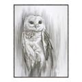 Picture of Living Owl _GroupedProduct_Rectangle_Portrait_Canvas_Framed_