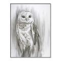 Picture of Living Owl _GroupedProduct_Rectangle_Portrait_Canvas_Framed_