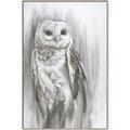 Picture of Living Owl _GroupedProduct_Rectangle_Portrait_Canvas_Framed_