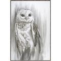 Picture of Living Owl _GroupedProduct_Rectangle_Portrait_Canvas_Framed_
