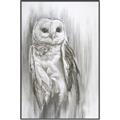 Picture of Living Owl _GroupedProduct_Rectangle_Portrait_Canvas_Framed_