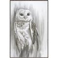 Picture of Living Owl _GroupedProduct_Rectangle_Portrait_Canvas_Framed_