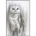 Picture of Living Owl _GroupedProduct_Rectangle_Portrait_Canvas_Framed_