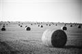 Picture of Hay Bails _GroupedProduct_Rectangle_Landscape_Photography _GroupedProduct_Rectangle_Landscape_Unframed_Print_Only_