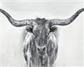 Picture of Painted Longhorn Bull _GroupedProduct_Rectangle_Landscape_Unframed_Print_Only_