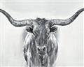 Picture of Painted Longhorn Bull _GroupedProduct_Rectangle_Landscape_Unframed_Print_Only_