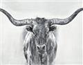 Picture of Painted Longhorn Bull _GroupedProduct_Rectangle_Landscape_Unframed_Print_Only_