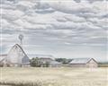 Picture of The Farmhouse Muted _GroupedProduct_Rectangle_Landscape_Unframed_Print_Only_
