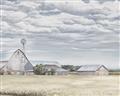 Picture of The Farmhouse Muted _GroupedProduct_Rectangle_Landscape_Unframed_Print_Only_