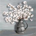 Picture of Cotton Flower _GroupedProduct_Square_Unframed_Print_Only_
