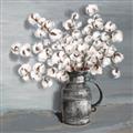 Picture of Cotton Flower _GroupedProduct_Square_Unframed_Print_Only_