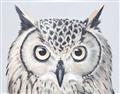 Picture of Close-up The Owl Head _GroupedProduct_Rectangle_Landscape_Unframed_Print_Only_