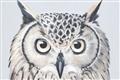 Picture of Close-up The Owl Head _GroupedProduct_Rectangle_Landscape_Unframed_Print_Only_