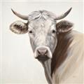 Picture of Neutral Cow _GroupedProduct_Square_Unframed_Print_Only_