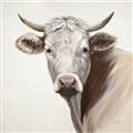 Picture of Neutral Cow _GroupedProduct_Square_Unframed_Print_Only_