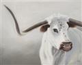 Picture of Cow with Big Horn _GroupedProduct_Rectangle_Landscape_Unframed_Print_Only_
