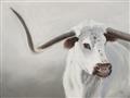 Picture of Cow with Big Horn _GroupedProduct_Rectangle_Landscape_Unframed_Print_Only_
