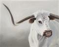 Picture of Cow with Big Horn _GroupedProduct_Rectangle_Landscape_Unframed_Print_Only_