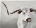 Picture of Cow with Big Horn _GroupedProduct_Rectangle_Landscape_Unframed_Print_Only_