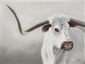 Picture of Cow with Big Horn _GroupedProduct_Rectangle_Landscape_Unframed_Print_Only_