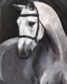 Picture of Soft Horse _GroupedProduct_Rectangle_Portrait_Unframed_Print_Only_