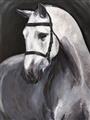 Picture of Soft Horse _GroupedProduct_Rectangle_Portrait_Unframed_Print_Only_