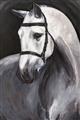 Picture of Soft Horse _GroupedProduct_Rectangle_Portrait_Unframed_Print_Only_