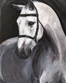 Picture of Soft Horse _GroupedProduct_Rectangle_Portrait_Unframed_Print_Only_
