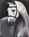 Picture of Soft Horse _GroupedProduct_Rectangle_Portrait_Unframed_Print_Only_