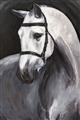 Picture of Soft Horse _GroupedProduct_Rectangle_Portrait_Unframed_Print_Only_