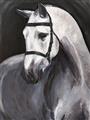 Picture of Soft Horse _GroupedProduct_Rectangle_Portrait_Unframed_Print_Only_