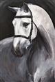 Picture of Soft Horse _GroupedProduct_Rectangle_Portrait_Unframed_Print_Only_