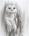 Picture of Living Owl _GroupedProduct_Rectangle_Portrait_Unframed_Print_Only_