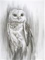 Picture of Living Owl _GroupedProduct_Rectangle_Portrait_Unframed_Print_Only_