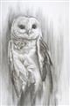 Picture of Living Owl _GroupedProduct_Rectangle_Portrait_Unframed_Print_Only_