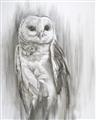 Picture of Living Owl _GroupedProduct_Rectangle_Portrait_Unframed_Print_Only_